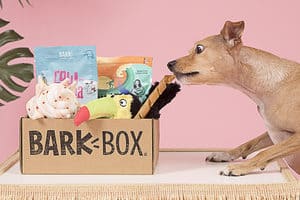 Barkbox