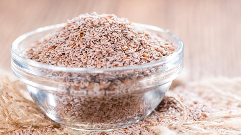 The Benefits of Psyllium for Pets