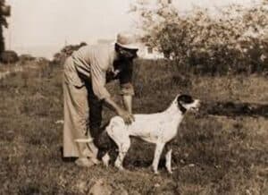 The Brazilian Tracker is an dog breed that went extinct due to a certain disease outbreak.