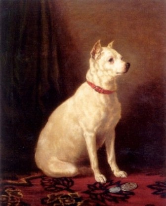 The English White Terrier is an example of an already extinct dog breed.