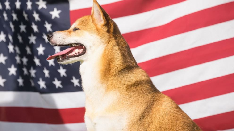 A List of US Presidents & Their Furry Companions