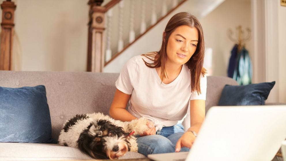 Pet Insurance: Find the Best Plan for Your Pet