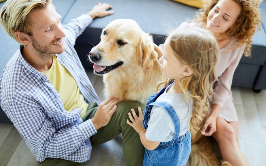 10 Best Dog Breeds for Busy Families With Kids