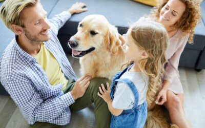 10 Best Dog Breeds for Families With Kids