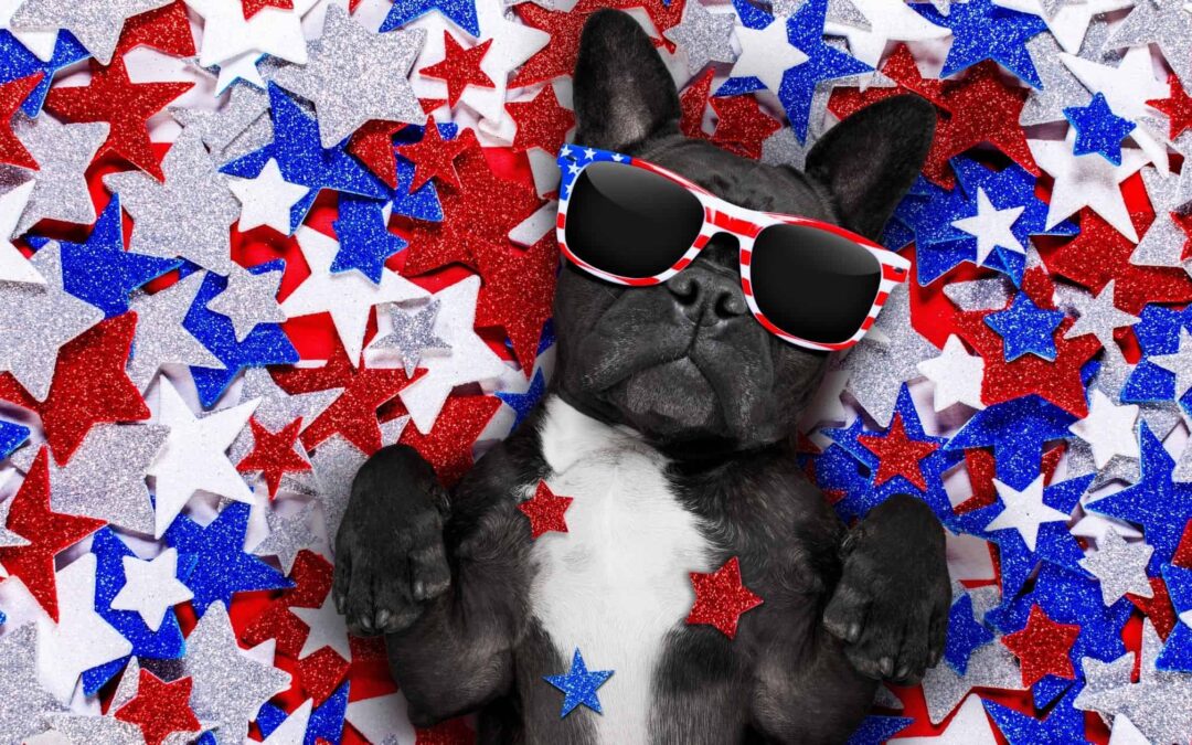 Does July 4th Make Your Dog Anxious?