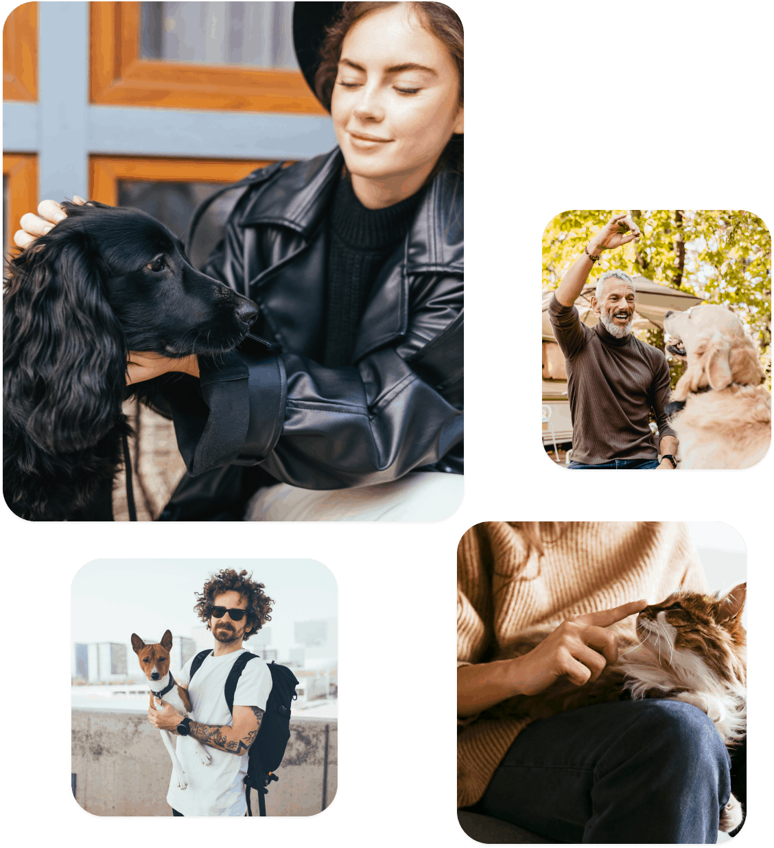 Affordable Pet Insurance for Everyone