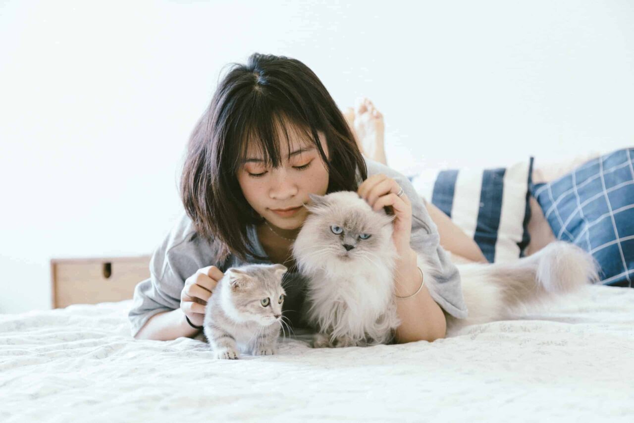 5 Reasons You Should Get Your Pets Chipped Odie Pet Insurance