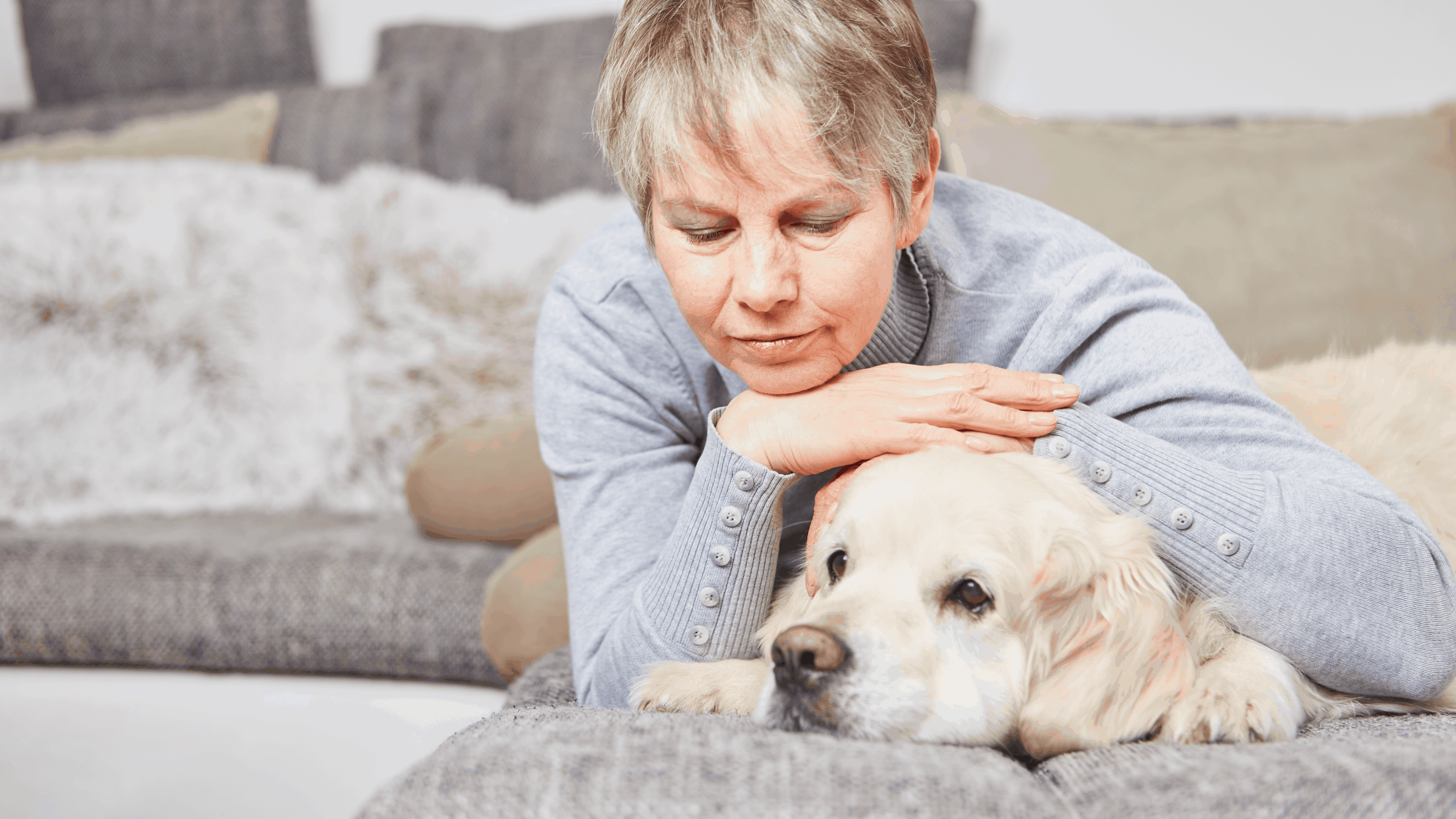 Taking breaks is vital when teaching your senior dogs new tricks.