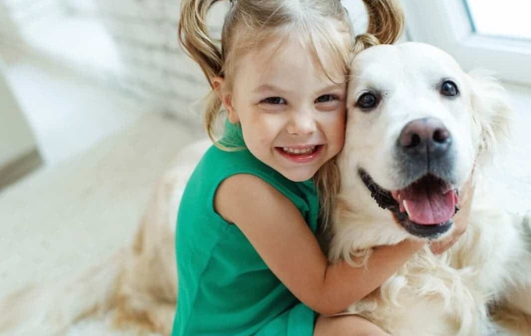5 Most Affectionate Dog Breeds That Love to Cuddle