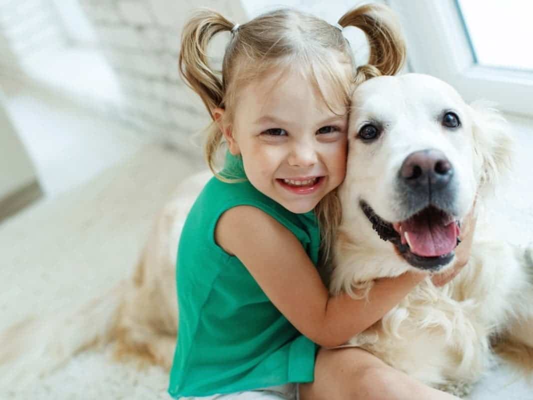 5 Most Affectionate Dog Breeds That Love to Cuddle | Odie Pet Insurance