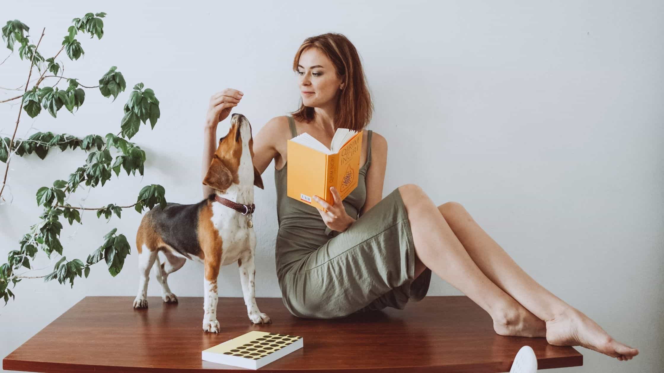 Woman feeding dog treat