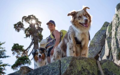 Female hiker with two dogs