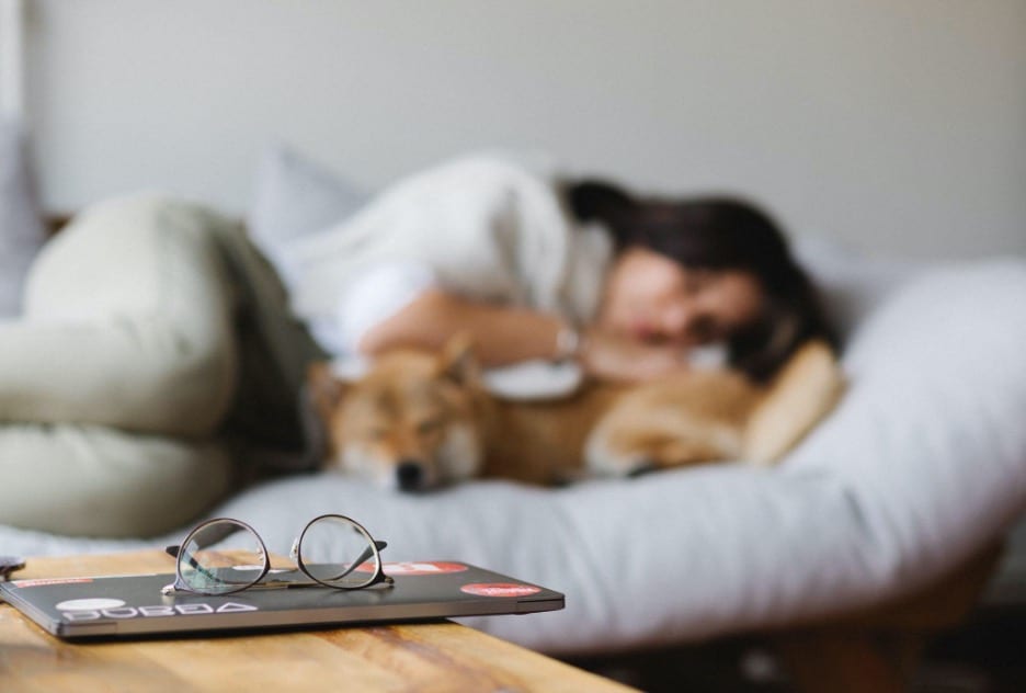 Female taking a nap next to her dog. Reading glasses and iPad on side table