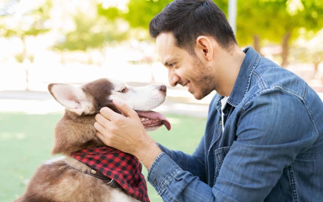 How Pets Are Taking Care Of Your Mental Health