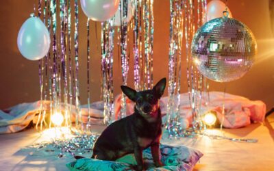 New year's resolutions with pets