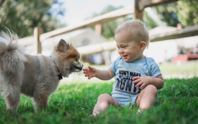 How to find joy in introducing your new pets to kids