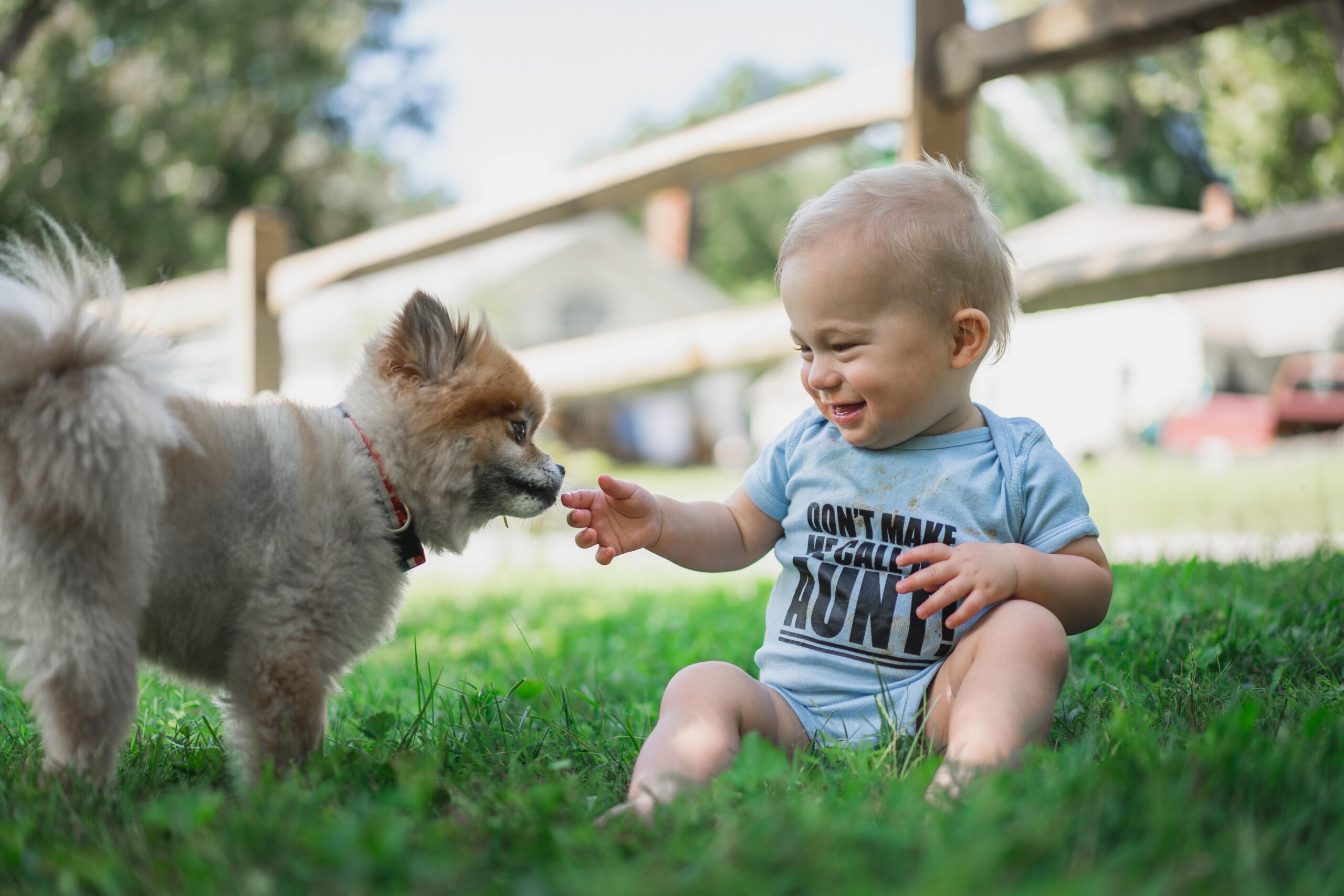 How to find joy in introducing your new pets to kids