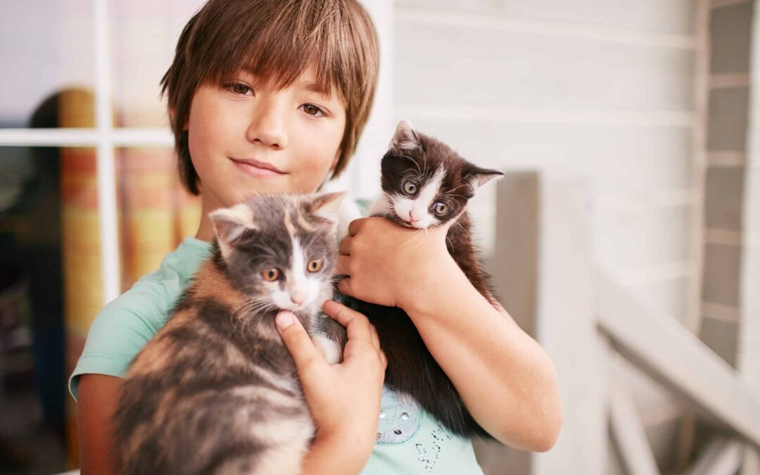 5 Kid-Friendly Cat Breeds