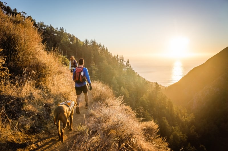 Man and woman hiking with dog on trail