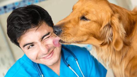 What to think of in terms of long-term pet care with your vet.