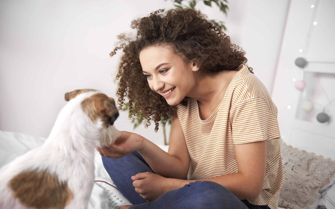 The Guide to Understanding Pet Insurance