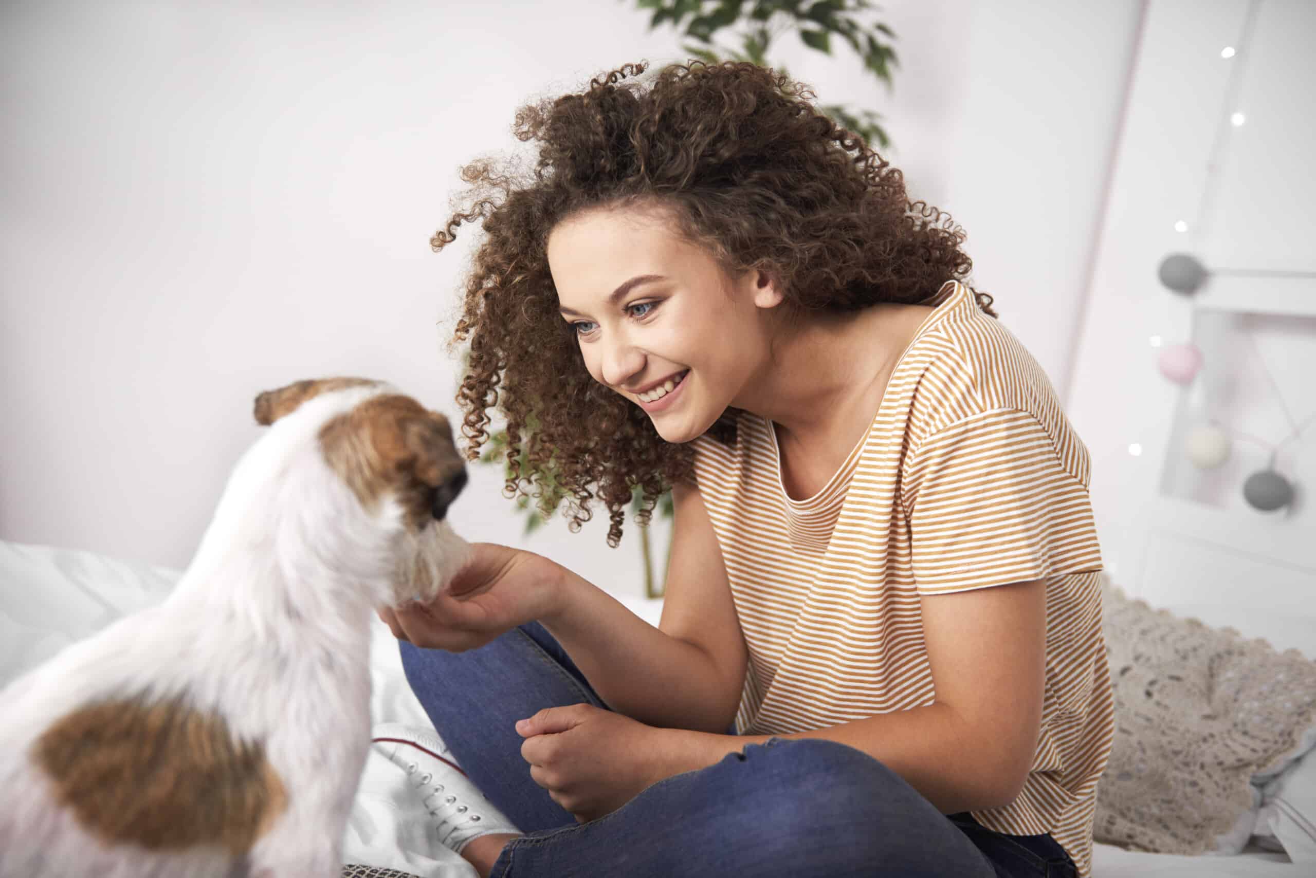 Learn everything you need to know about pet insurance