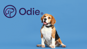 Odie Pet Insurance can help reimburse for the costs of treatments in the event of an accident or illness. 