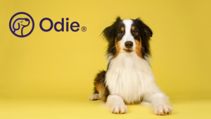 Odie's Illness and Injury pet health insurance plan offers comprehensive coverage for your dog. 