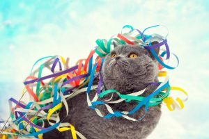 Some holiday decor and gift wrapping items such as ribbons and bows can be hazardous to curious pets. 