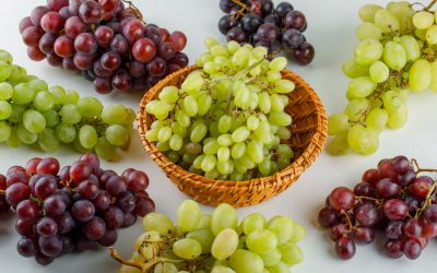 Grapes and raisins are toxic to dogs and toxic and can cause sudden acute kidney failure