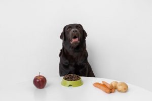 Grapes and raisins can be toxic to dogs, but the exact substance that makes then harmful is unknown.