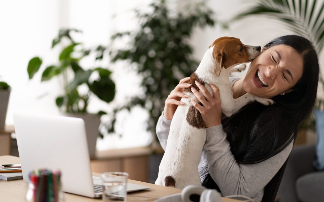 How Pet Insurance Can Boost Workplace Morale