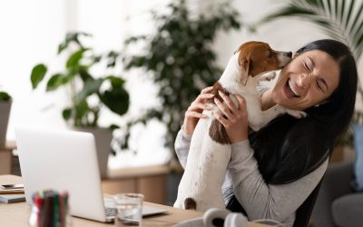 Pet insurance as a benefit increases morale in the workplace.