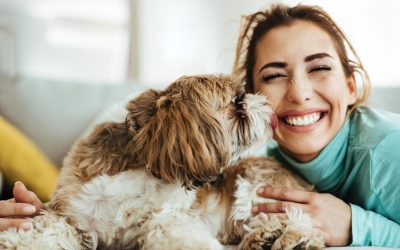 This article provides answers to the most frequently asked pet insurance questions.
