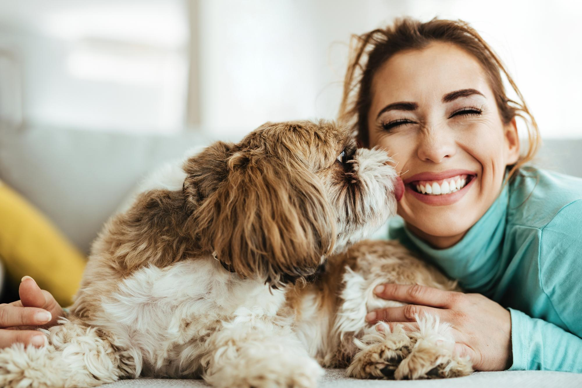This article provides answers to the most frequently asked pet insurance questions.