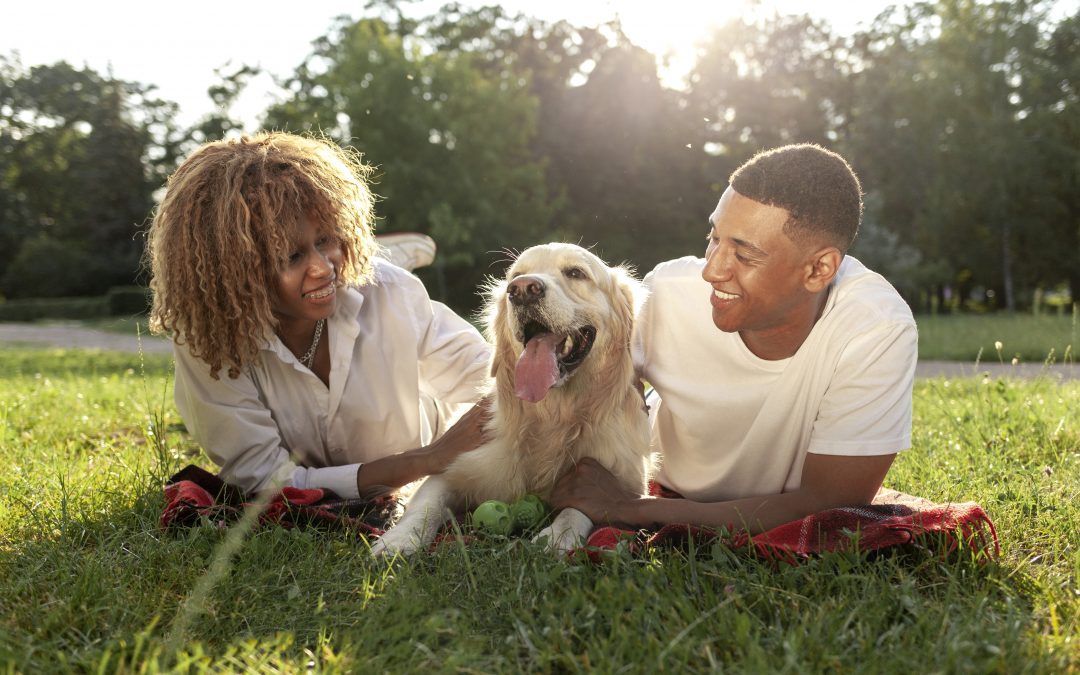 The Ultimate Guide to Pet Insurance: Everything You Need to Know