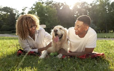 Pet insurance provides coverage for unexpected illnesses and injuries. This is the ultimate guide.