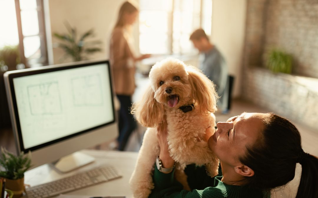 The Benefits of Offering Pet Insurance to Your Employees