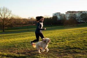 Just like humans, regular exercise for your dog is essential for their well-being. 