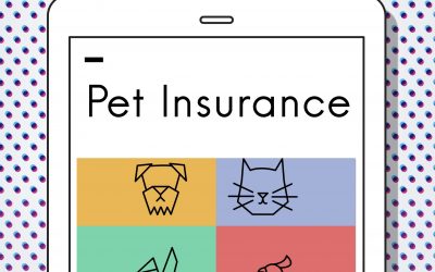 White label pet insurance allows companies to offer pet insurance under their brand name and own the customer journey.
