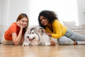 Pet insurance provides customers with peace of mind, knowing that they can provide the appropriate treatment for their pets.