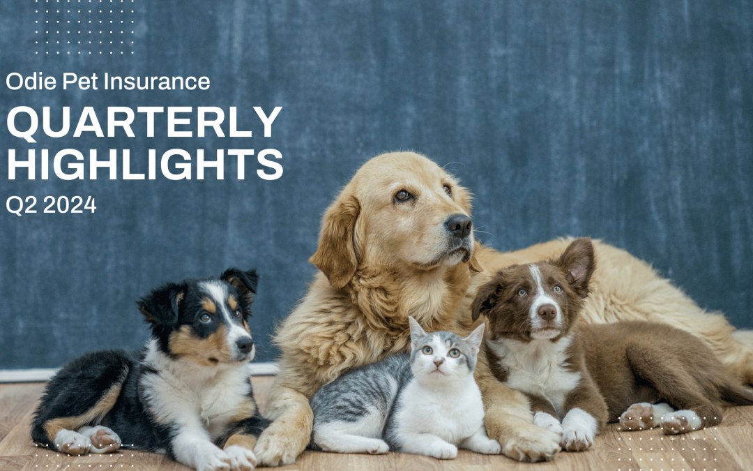 Q2 Quarterly Highlights: Odie Pet Insurance