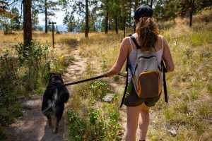 When hiking with your dog, make sure to keep them on leash.