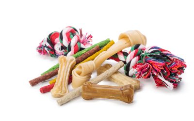 Generally safe for dogs, bully sticks are made from natural beef muscle and are free from additives.