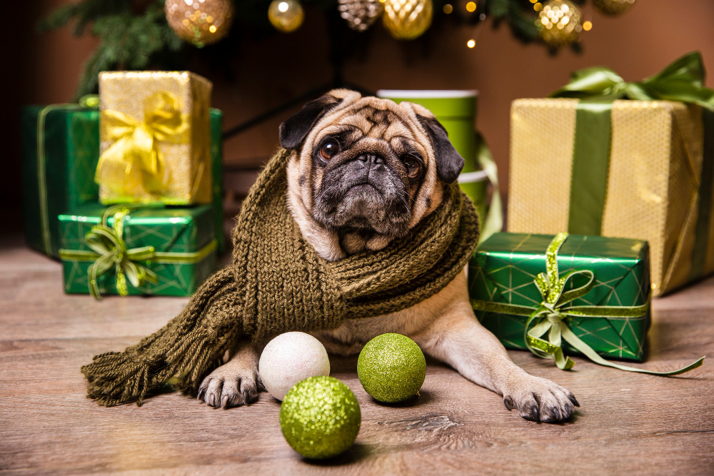 How to Keep Your Dog’s Weight In Check During the Holiday