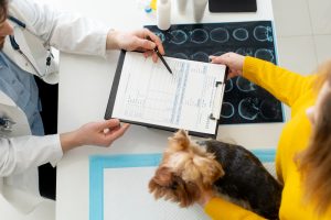 There are several costs involved in a dog MRI, including a consultation, anesthesia, the test itself as well as veterinary fees, hospitalization and follow-up care.