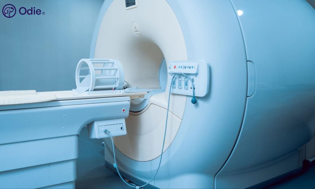 Modern veterinary MRI machine and patient table in a bright clinical room.