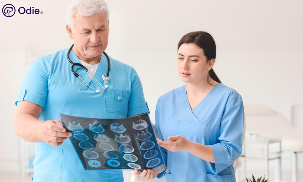 Two veterinarians in blue scrubs examining a brain CT scan film sheet together.