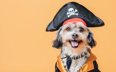 Ensuring the proper fit and comfort of your pet's Halloween costume is essential to minimize stress.