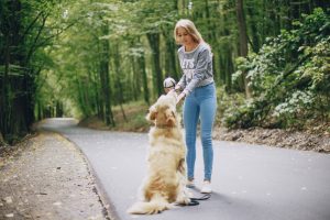 Switching up your daily walking routine can keep your dog's senses engaged and their mind stimulated.